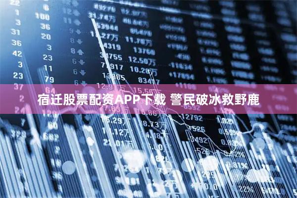 宿迁股票配资APP下载 警民破冰救野鹿