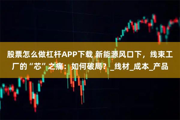 股票怎么做杠杆APP下载 新能源风口下，线束工厂的“芯”之痛：如何破局？_线材_成本_产品